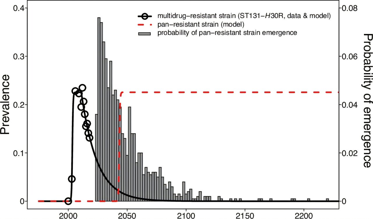 Study Warns of Catastrophic Rise in Sepsis Deaths Due to Antibiotic Resistance