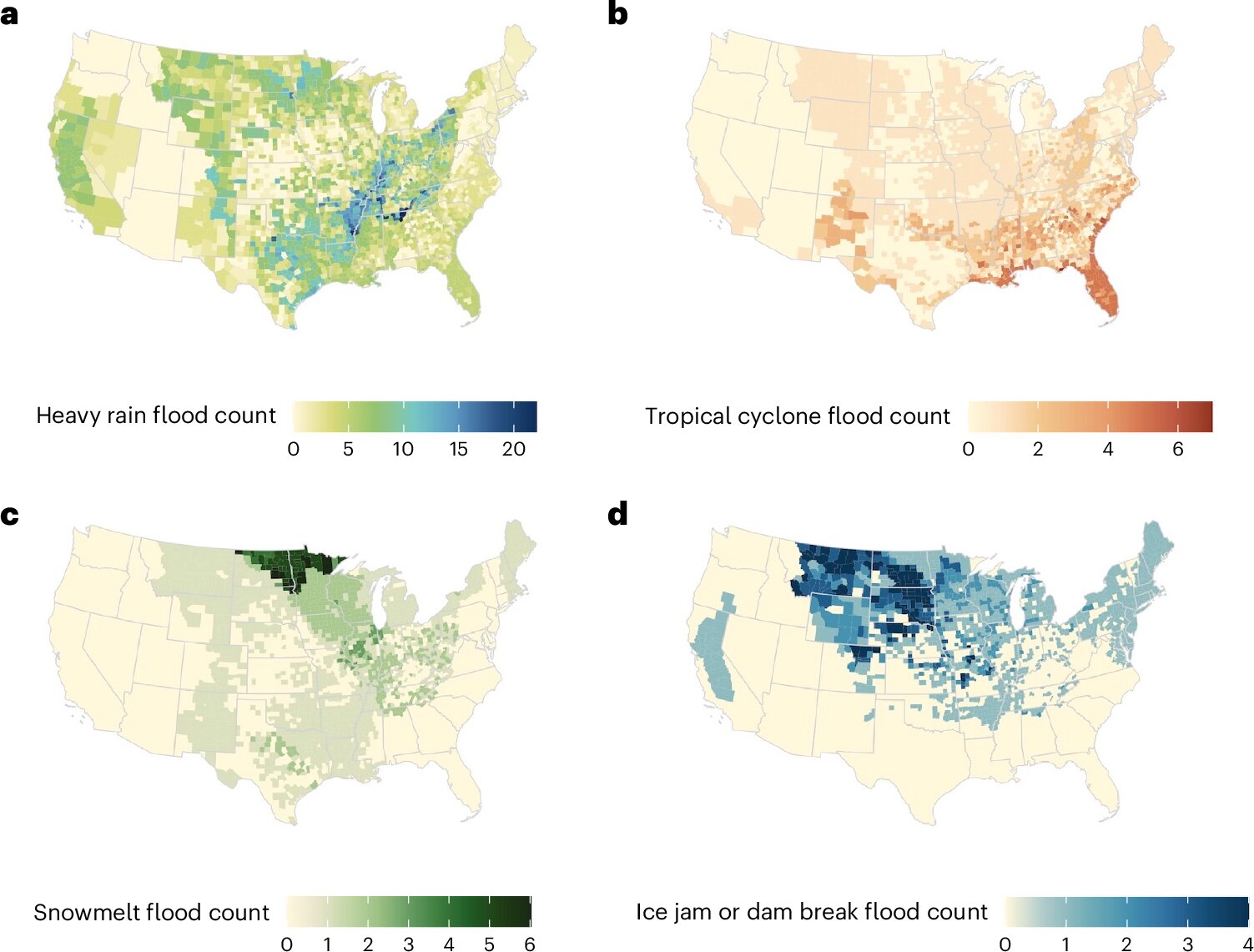 Study Reveals Significant Increase in Mortality Following Large Flood Events