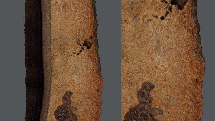 Ancient Engravings Reveal Early Symbolic Thought