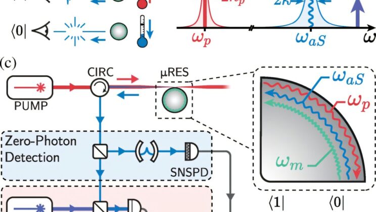 Cooling Quantum Systems by Measuring the Absence of Light