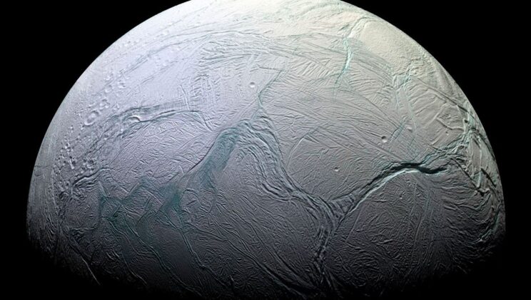 Exploring the Potential for Life on Enceladus