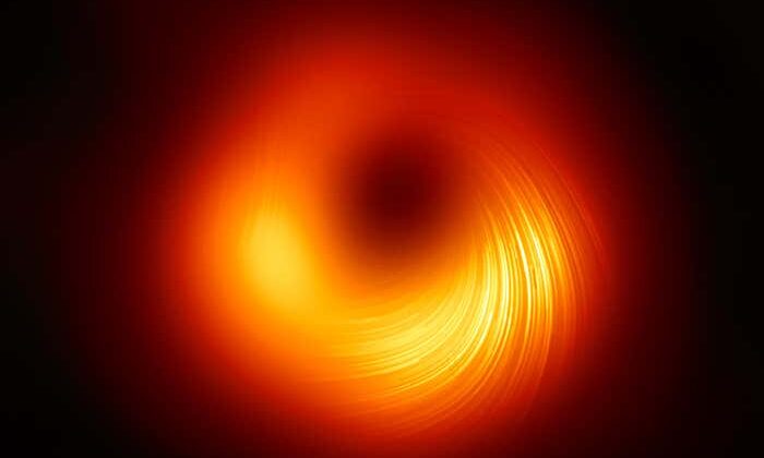 Black Holes: Portals to Another Dimension?