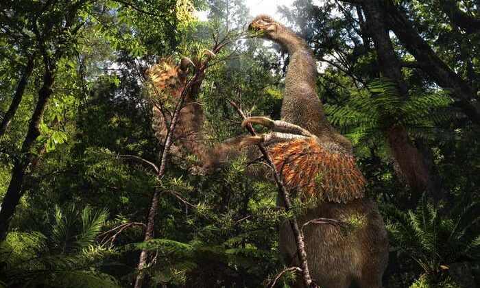 New Two-Clawed Therizinosaur Discovered in Mongolia