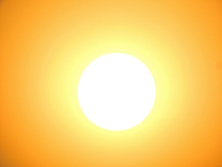 The Future of the Sun: From Red Giant to White Dwarf