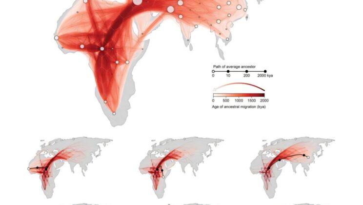 Mapping the “Movie” of Ancestry: New Genetic Method Reveals Dynamic Human History