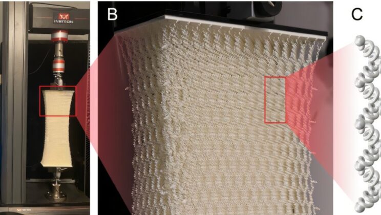 Unlocking the Secrets of Strength: How Scientists Cracked the Code of Networked Materials’ Toughness
