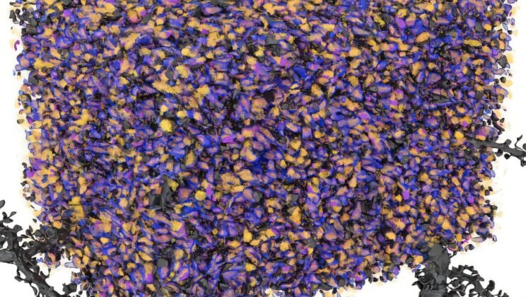 Scientists Unveil the Hidden Architecture of Memory