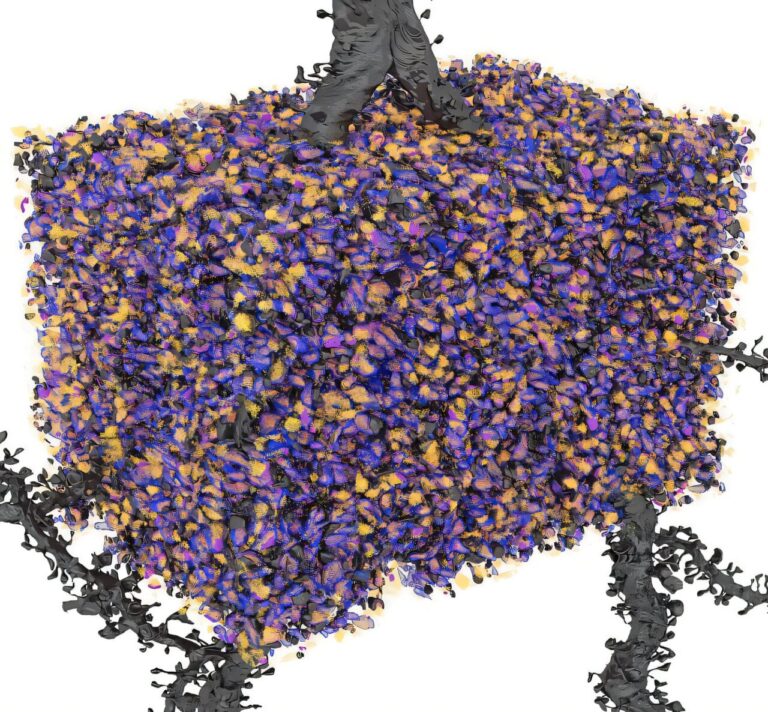 Scientists Unveil the Hidden Architecture of Memory