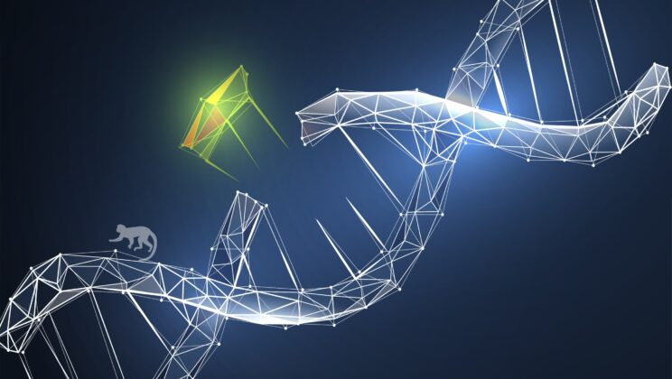 Revolutionizing Genetic Engineering in Non-Human Primates