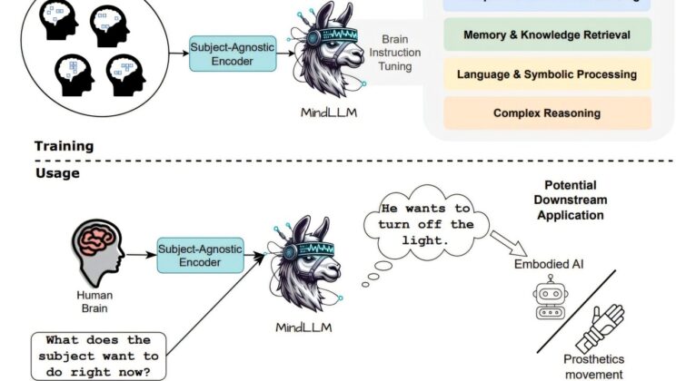 Neuroscience-Informed AI Decodes Brain Signals with MindLLM
