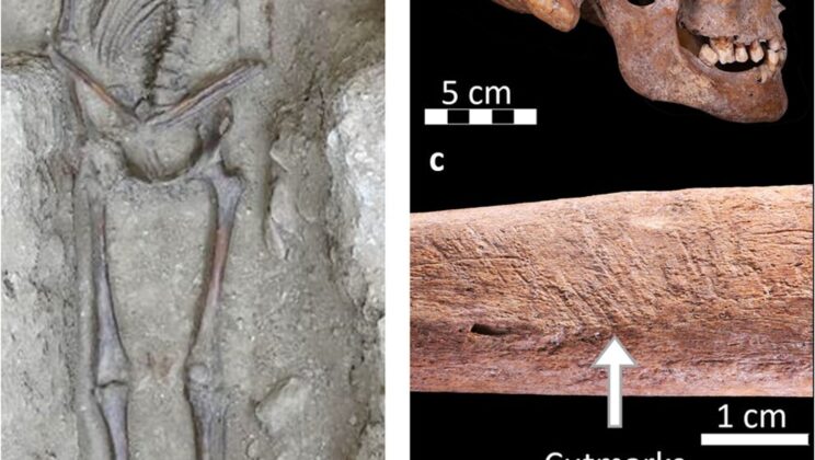 The Caumont Family’s Secret: 200 Years of Embalming in Château des Milandes