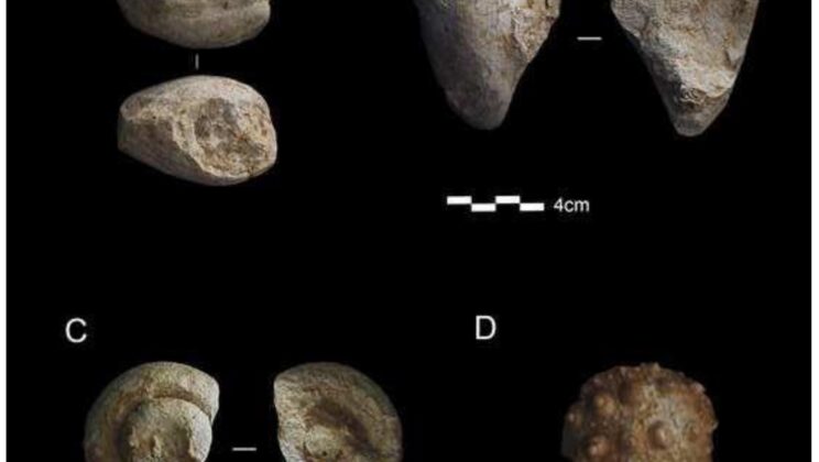 New Evidence Suggests Neanderthals Collected for Aesthetic Reasons