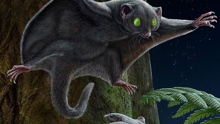 The Ancient Cloak of Darkness: How Fossilized Fur Reveals the True Colors of Mesozoic Mammals