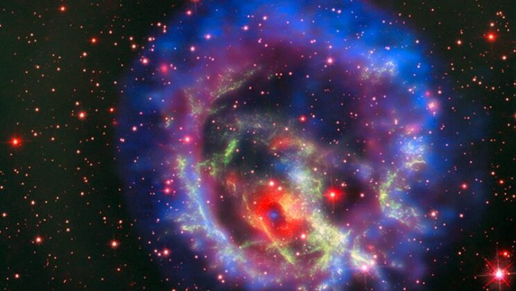 Can We Survive a Supernova Near Earth?