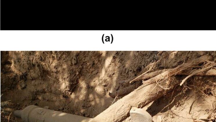 Coronado Era Cannon Found in Arizona