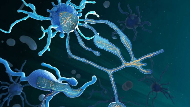 Asgard Archaea: Ancient Microbes and the Hidden Origins of Complex Life