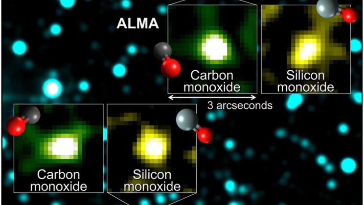 New Class of Interstellar Icy Objects Discovered