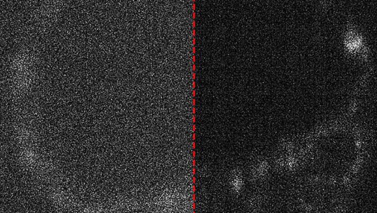 Quantum Cameras Reveal Secrets of Embryo Development