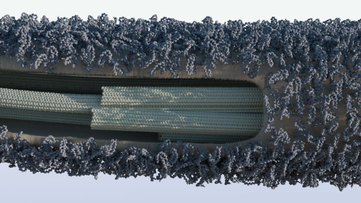 Guardians of the Cilia: Unveiling the Hidden Shield of Microscopic Life