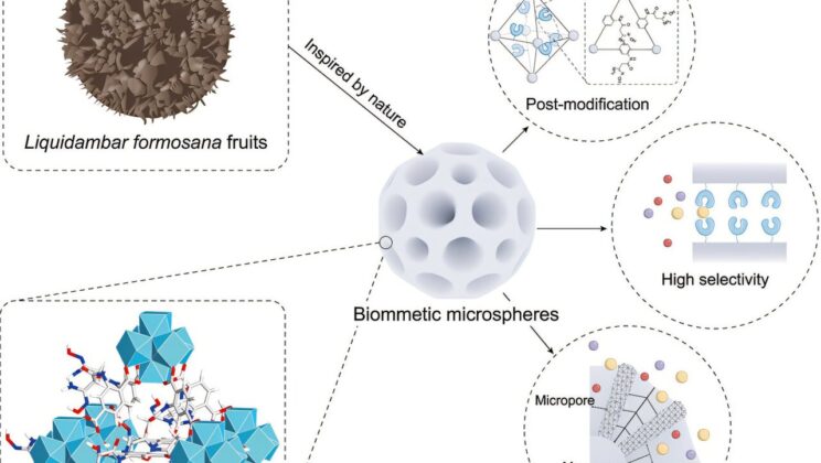 Biomimetic Adsorbent Boosts Uranium Extraction from Seawater