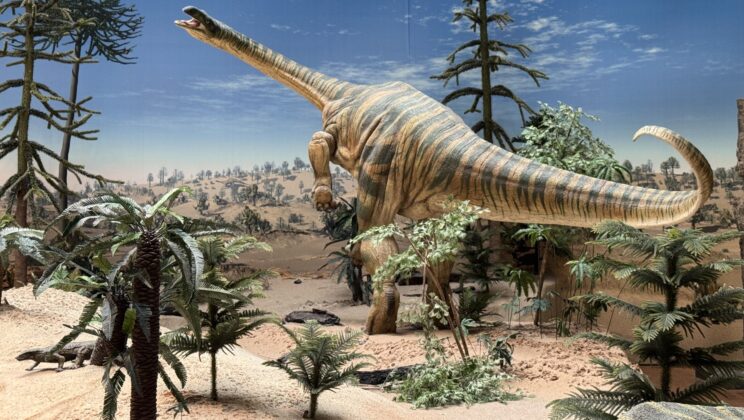 New Study Reveals Triassic Terrestrial Life in Central Europe