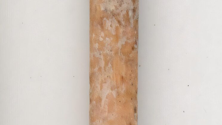 Wyoming Site Reveals Ancient Bone Needles, Oldest Bead in Americas