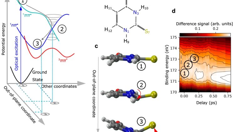 Unraveling Ultra-Fast Molecular Changes with X-ray Light and Coulomb Explosion Imaging