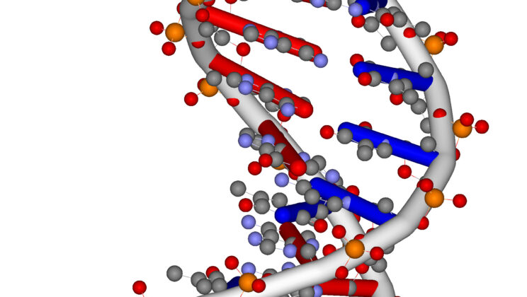 What Ancient DNA Reveals About Us