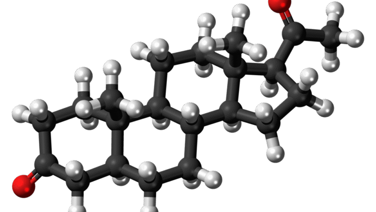 What Are the Branches of Chemistry? A Complete Breakdown