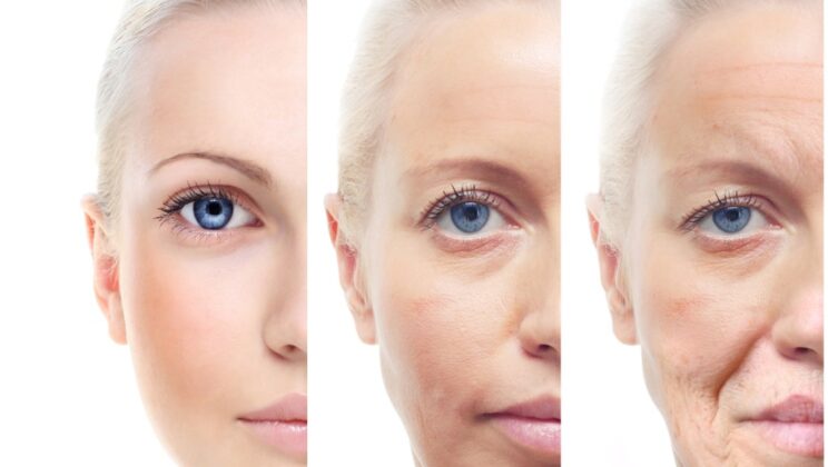 The Biology of Aging: Why Do We Grow Old?