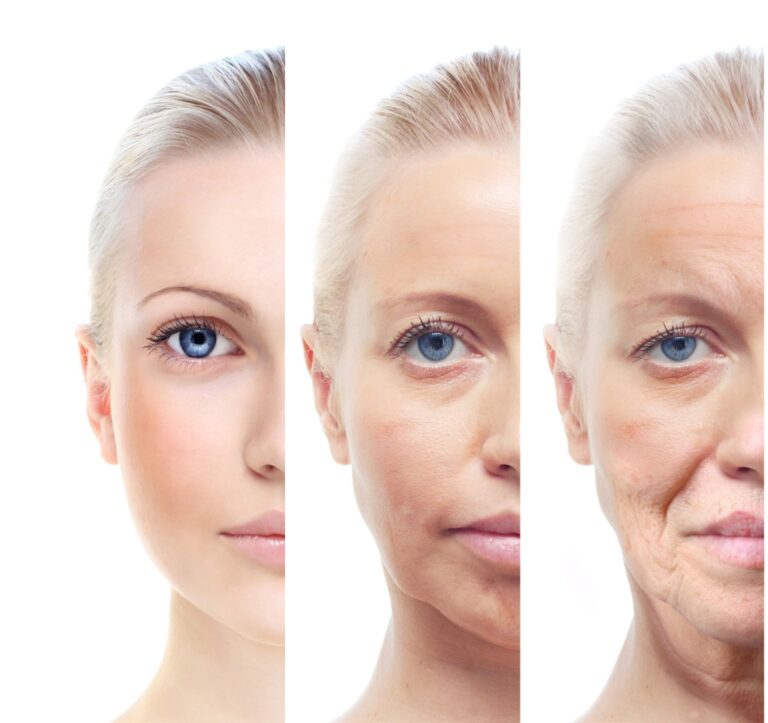 The Biology of Aging: Why Do We Grow Old?