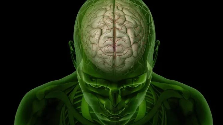 Inside the Human Brain: The Biology of Thoughts and Emotions