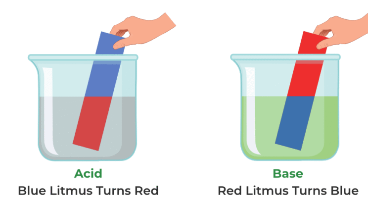 Acids vs. Bases: What’s the Difference?