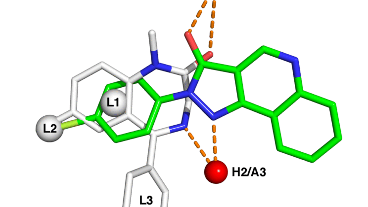 Real-World Applications of Organic Chemistry in Medicine