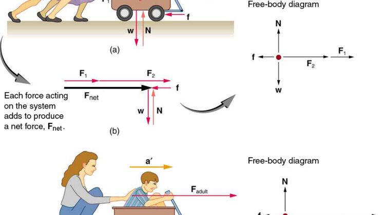 Understanding the Laws of Motion in Everyday Life