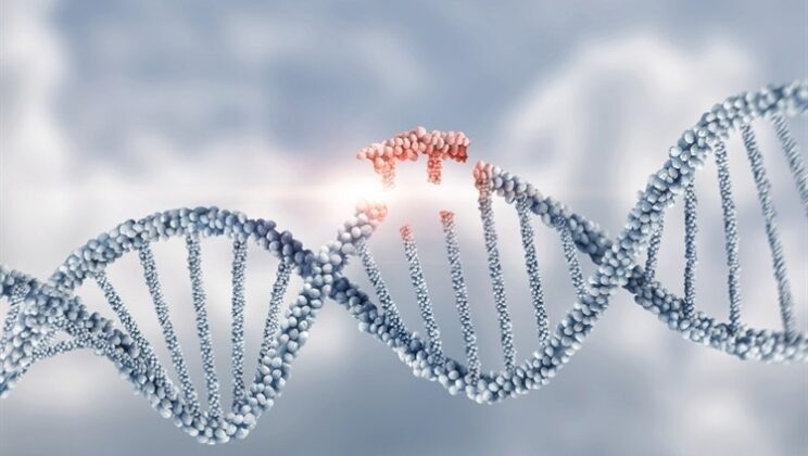 What Is Genetic Mutation and Is It Always Bad?
