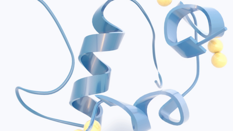 What is the Role of Insulin in the Body?