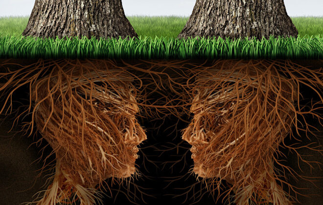 How Plants Communicate: The Hidden Network Below Our Feet