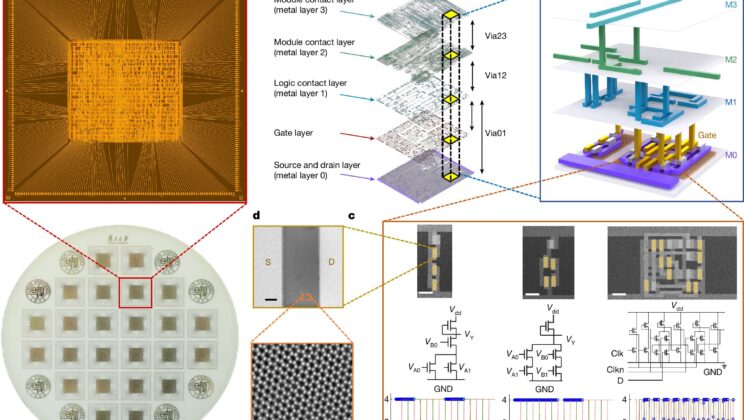 Engineers Design Revolutionary 32-Bit RISC-V Microprocessor with Molybdenum Disulfide