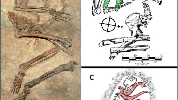 How Homo Sapiens and Neanderthals Honored Their Dead 100,000 Years Ago