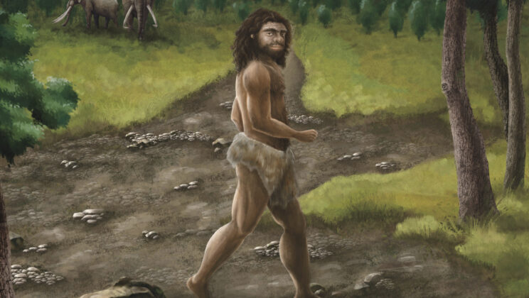 Ancient Jawbone Reveals Denisovan Presence in Taiwan