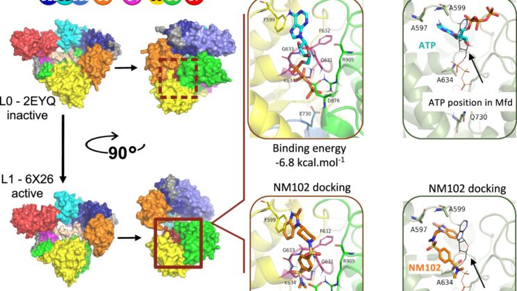 Scientists Discover Molecule That Disarms Superbugs Without Harming Microbiome