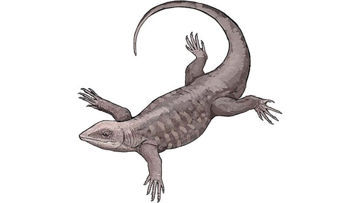 Fossil Discovery Shows 166-Million-Year-Old Reptile Lived in Trees