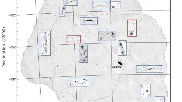 Titans of the Radio Sky: ASKAP Unveils 15 Giant Radio Galaxies