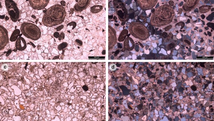 Isle of Skye Reveals 167-Million-Year-Old Dinosaur Footprints