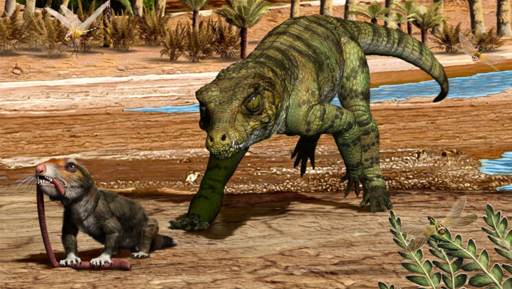 Ancient Crocodilians Survived Mass Extinctions Through Flexible Diets