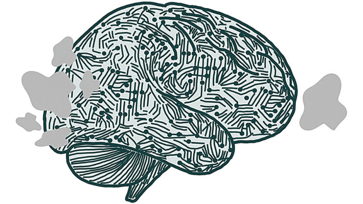 New Study Reveals How the Brain’s Visual System Shapes Decision-Making