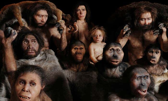 The Truth About Human Evolution: What Fossils Really Say