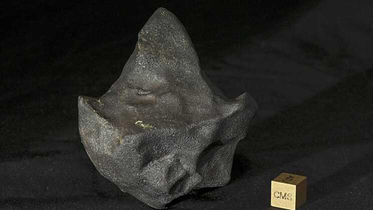 The Aguas Zarcas Meteorite: Unveiling Secrets of the Early Solar System