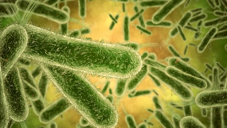 The Hidden Powers of Your Microbiome